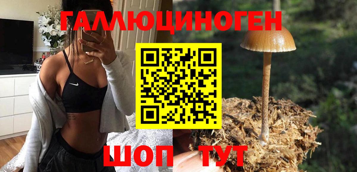 Галлюциногенные грибы GOLDEN TEACHER Апрелевка